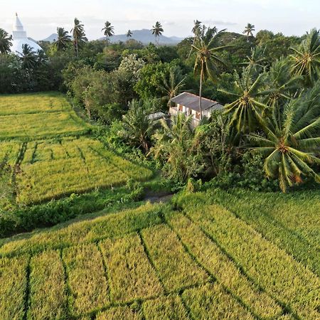 Viveka Inn Guest&Yala Safari Tissamaharama Dış mekan fotoğraf