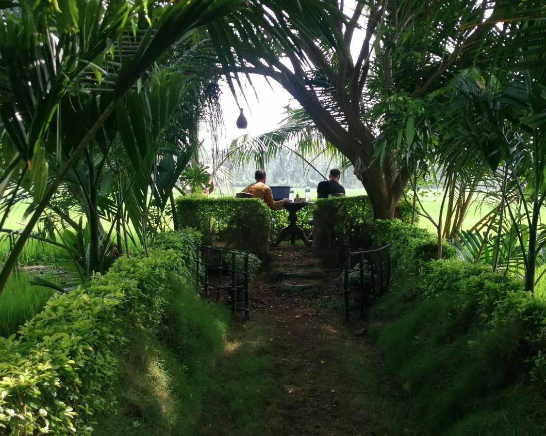 Viveka Inn Guest&Yala Safari Tissamaharama Dış mekan fotoğraf