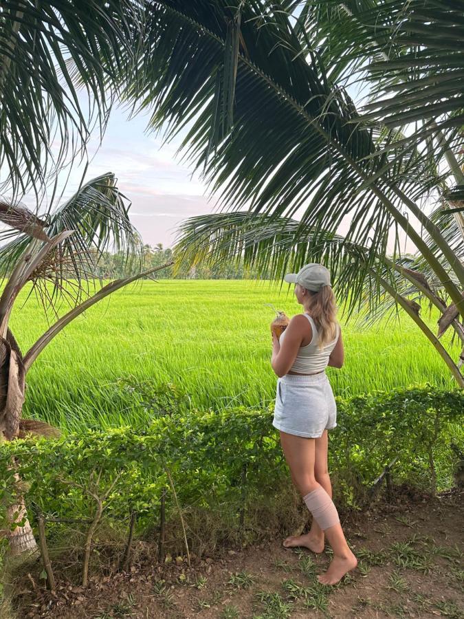 Viveka Inn Guest&Yala Safari Tissamaharama Dış mekan fotoğraf
