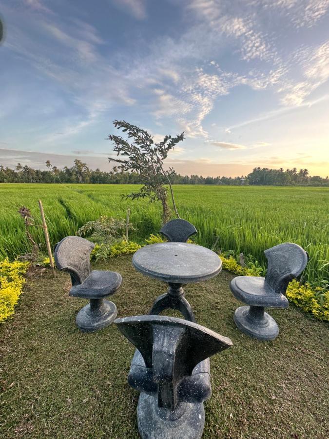 Viveka Inn Guest&Yala Safari Tissamaharama Dış mekan fotoğraf