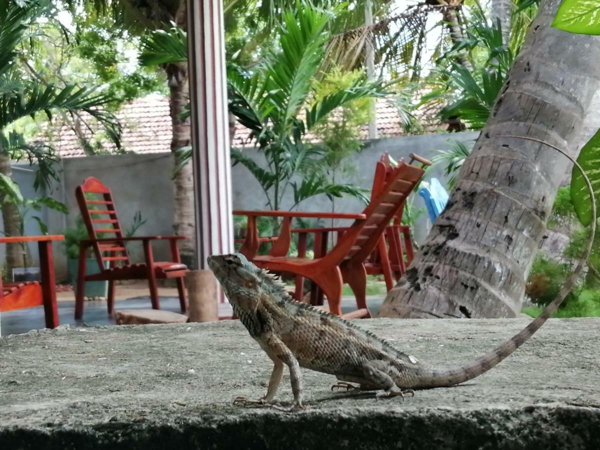 Viveka Inn Guest&Yala Safari Tissamaharama Dış mekan fotoğraf