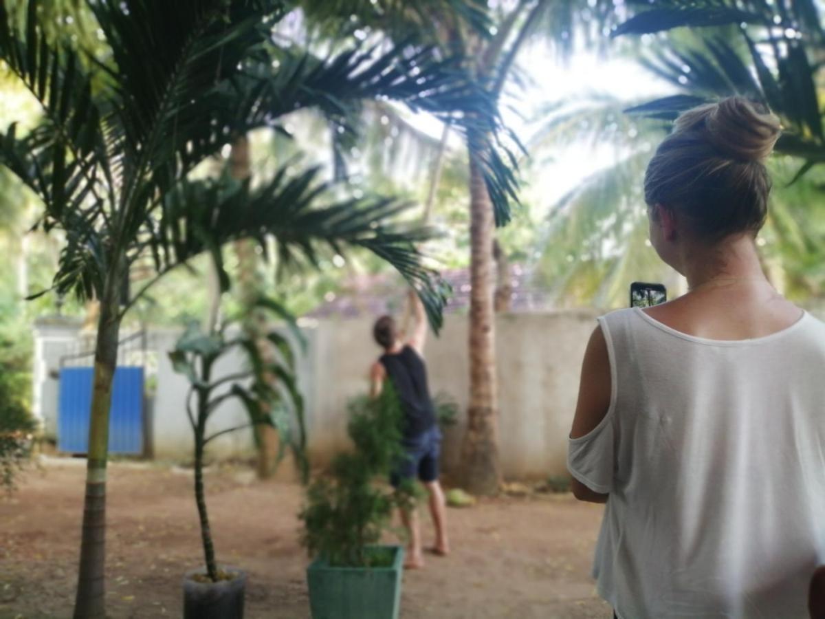 Viveka Inn Guest&Yala Safari Tissamaharama Dış mekan fotoğraf